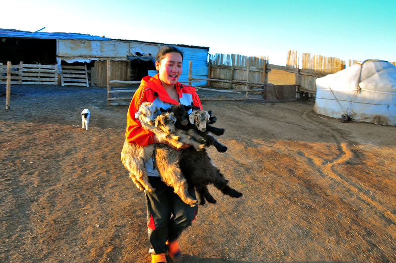 Mongolie